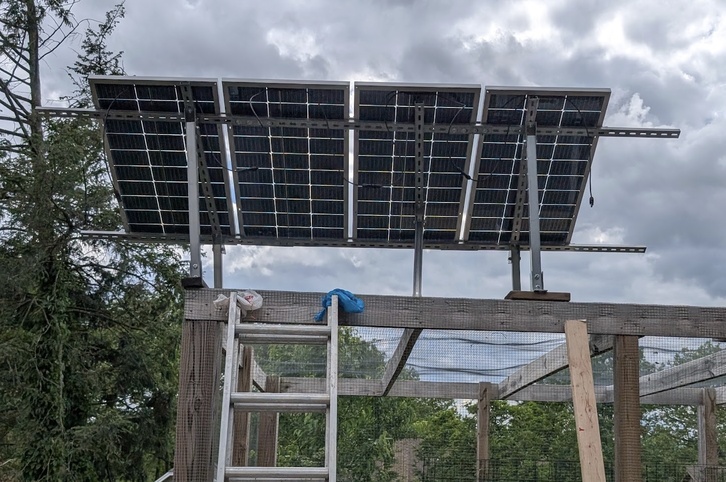 photograph of some solar panels on an enclosed urban garden